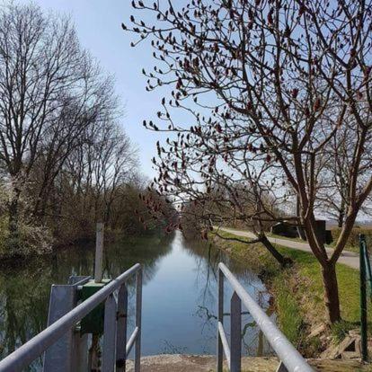 مبيت وإفطار مارْكولشا Au Hameau De L'Ecluse Proche Europa-Park المظهر الخارجي الصورة