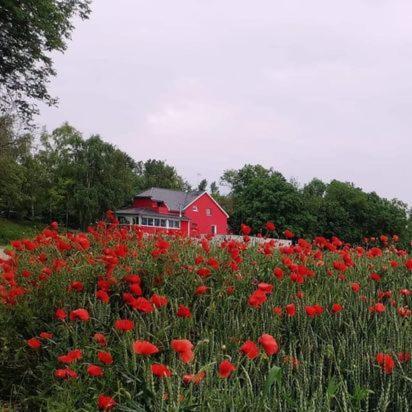 مبيت وإفطار مارْكولشا Au Hameau De L'Ecluse Proche Europa-Park المظهر الخارجي الصورة